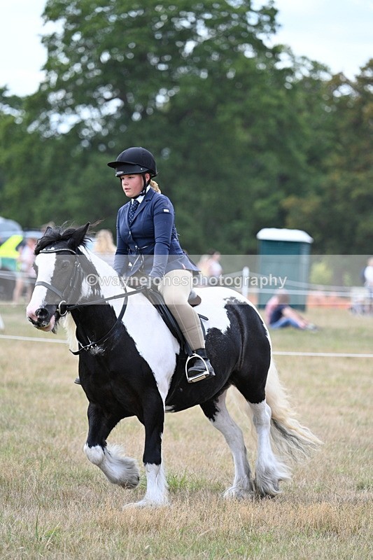 WJ7_5370 - Class 12 Ridden Cob