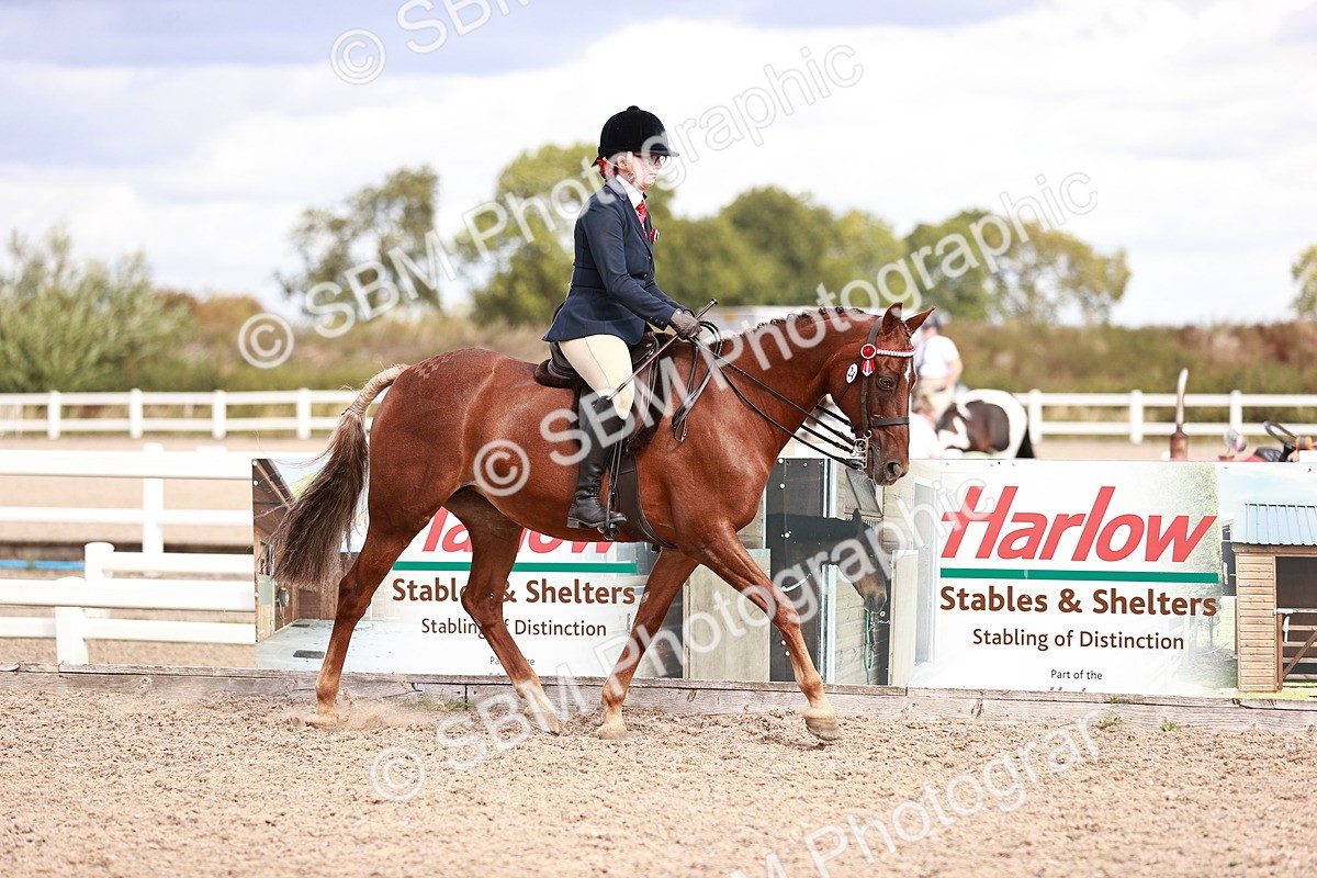 SBM_14254 - Class 408 - Grassroots Ridden -Walk & Trot