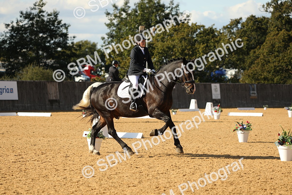 SBM_26916 - D17 - Grand Tour Championship - Novice 27