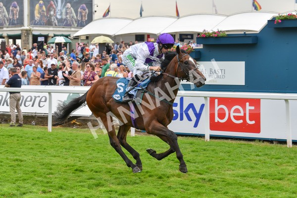 170623-Race 5-Twilight Romance-7184 - Race 5 4.15pm Reg Griffin Appreciation ebfstallions.com Maiden Stakes