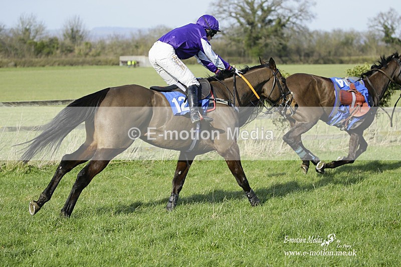 PtP 260222 511 - Kingston Blount Racing Club Point-to-Point 26/02/22