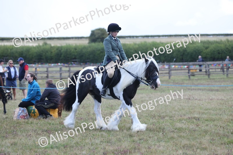 20250831-2391 - Class 16 - Family Pony