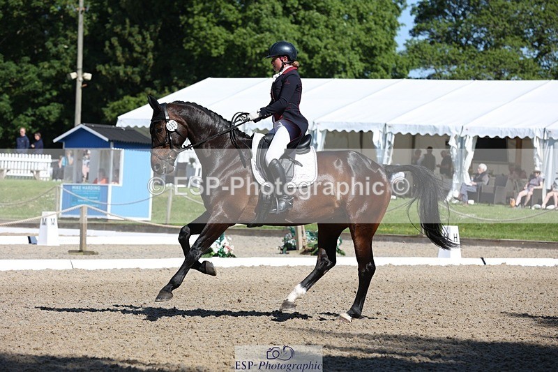 230526-094449-05152 - 357-VIVENDI_HERO-Saffron_Cresswell-WEDTrotUp+DR