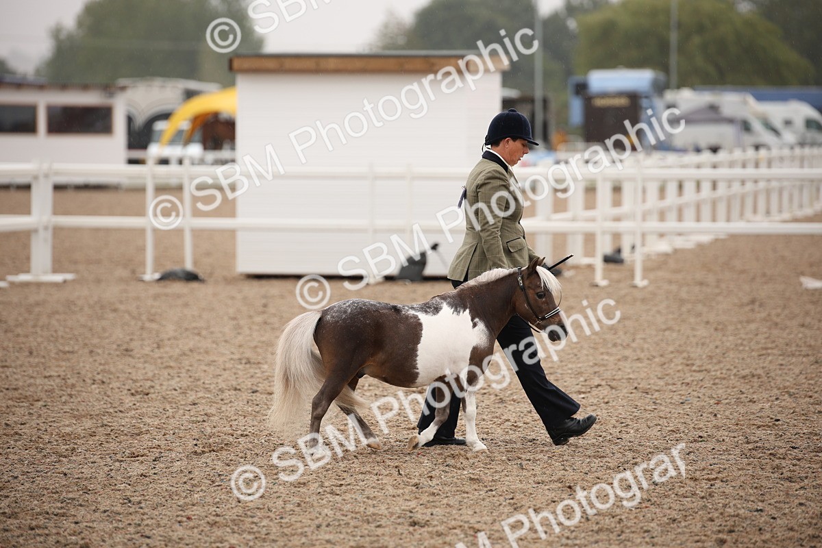 SBM_19277 - Class 701 - Best Turned Out IH & Ridden