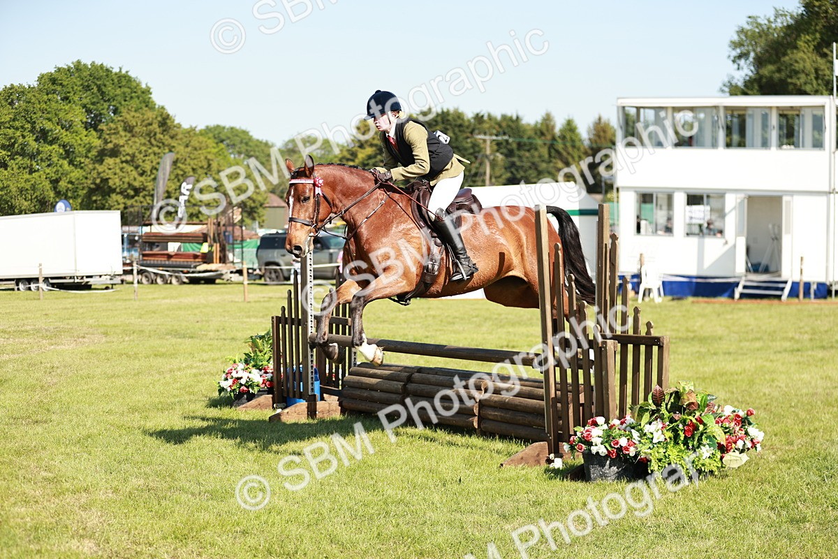 SBM_19133 - Class 115-116 - LIHS BSHA Rising Star Working Hunter & Show Horse