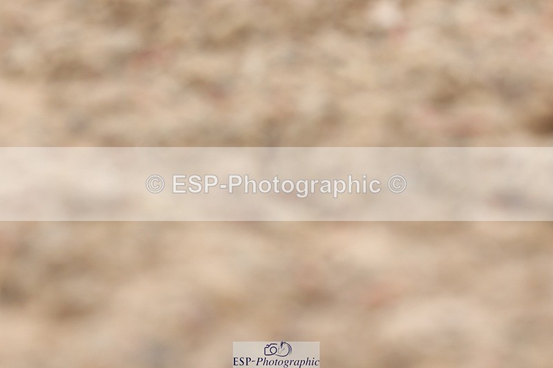 250622-143911-17213 - Cls 53 Medium 5, Start to 14.50