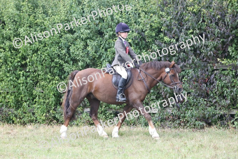 20250831-1279 - Class 15 - Ridden Veteran