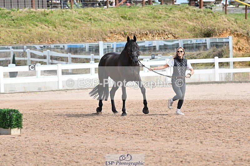 240717A-161617-03395 - Trot Up 4pm to 5pm