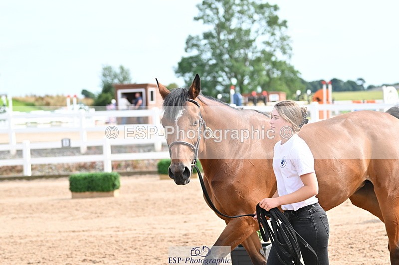 240717A-162321-03436 - Trot Up 4pm to 5pm