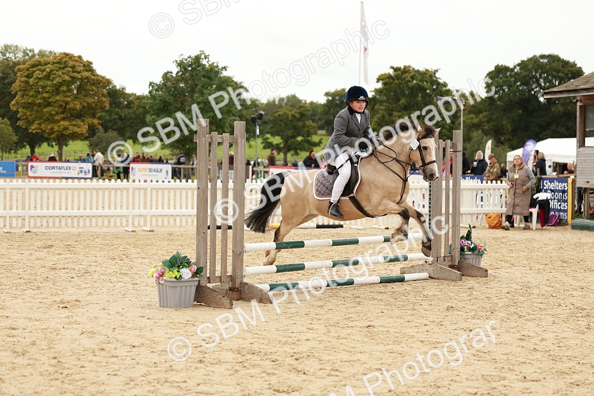 SBM_61768 - J12 - Junior Pony 55cm Championship