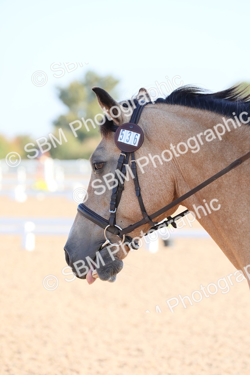 SBM_00795 - Class 30 Intro 1