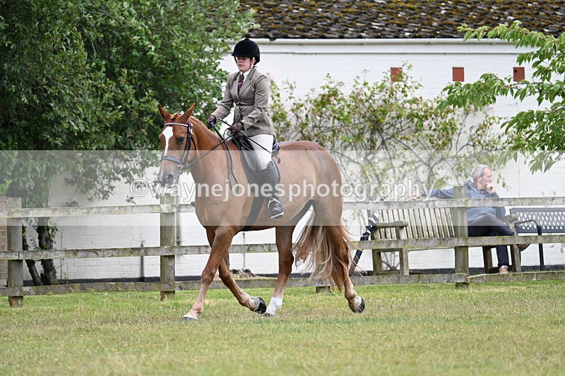 WJ7_9184 - Class 8 Ridden Veterans