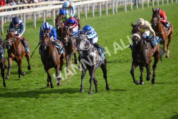 250823-Race 7-Silver Sword-1213 - Race 7 5.15pm Sky Bet Mile Handicap