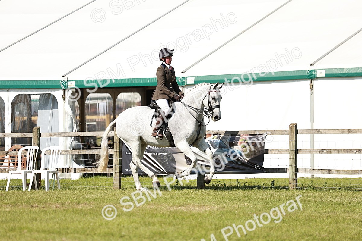 SBM_18875 - Class 114 - RIHS & SEIB Open Working Show Horse