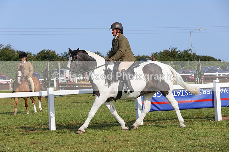 1X9A3303 - Class 28: Ridden Native/Trad Coloured Pony
