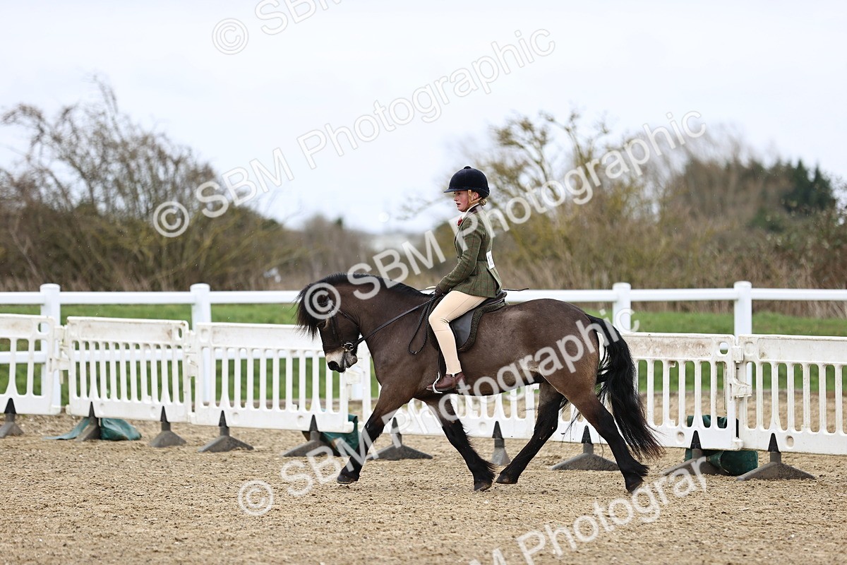 SBM_007444 - Class 31-32 - M&M Confined Novice Small-Large