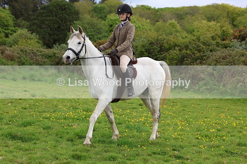 3E7A2121 - Class 11: Ridden Arab