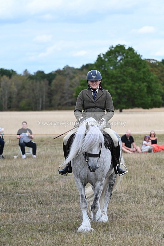 WJ7_5154 - Class 12 Ridden Cob