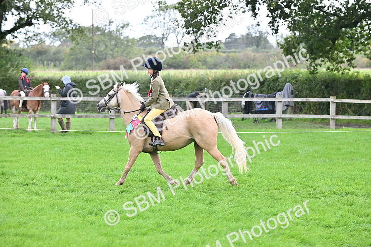 SBM_42910 - S12 - Family Horse & Pony