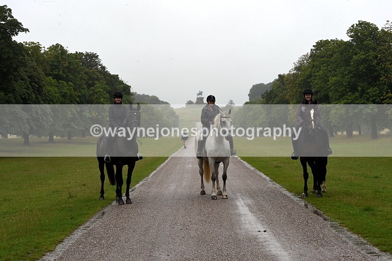 TT3_8556 - Time at Crossing 11:44 to 12:54