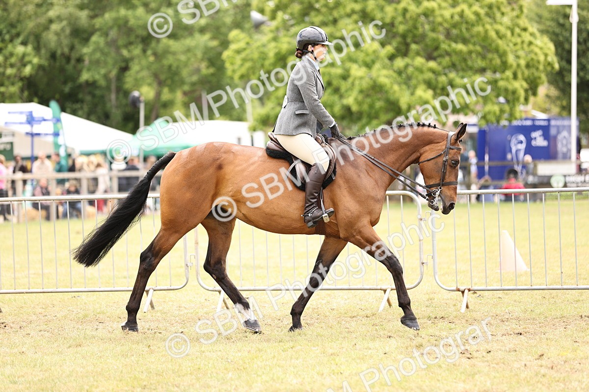 SBM_14648 - Class 88-89 - LIHS BSHA Rising Star of Ridden Hunter Type
