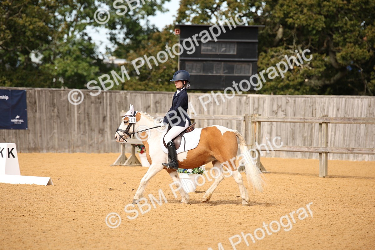SBM_21804 - D5 - Small Tour Championship - Intro C