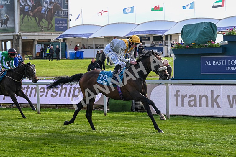 140526-Race 7-Arc Ole Ole-6032 - Race 7 5.15pm Frank Whittle Partnership Handicap