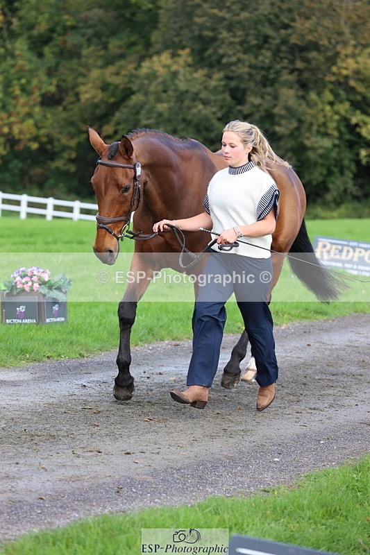 251026A-102655-22997 - E-386-Zara.Head