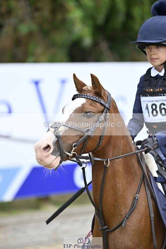 250820A-115716-03981 - Round 1, 11am to End