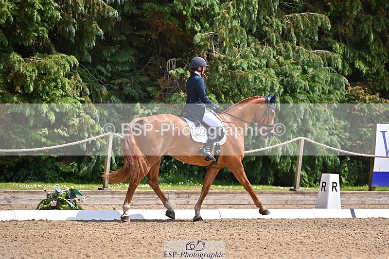 250523A-141438-07261 - B-360-Lucy.K.Wheeler-KING.CREOLE.VD.N.RANCH