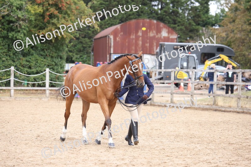 20260831-1954 - Class 5 - Retraining of Racehorses
