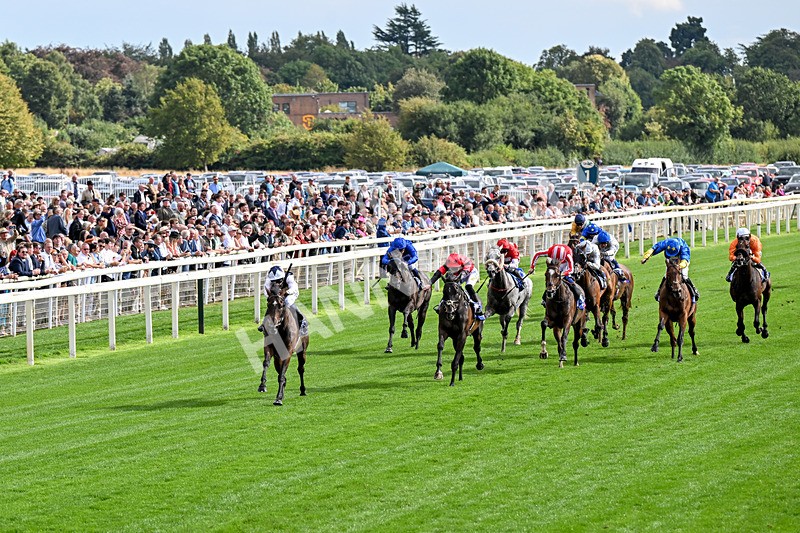 190826-Race 5-Small Fry-0632 - Race 5 16.10pm Sky Bet Stayers Handicap