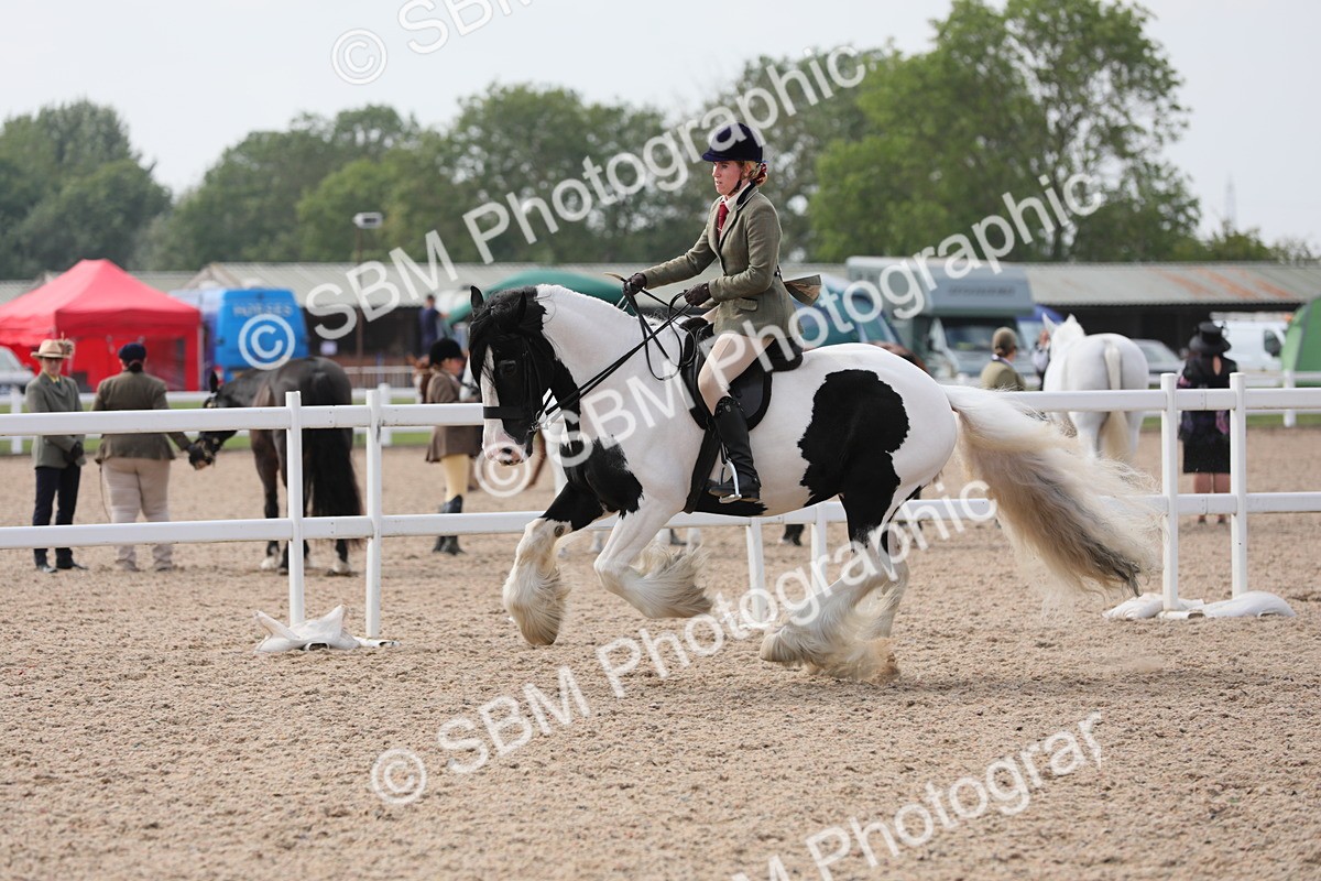SBM_13374 - Class 308 Ridden Coloured Horse