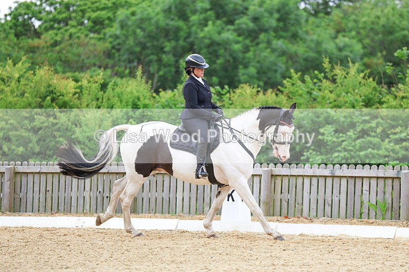 3E7A0812 - Class 6: Novice 1 2024 Section B