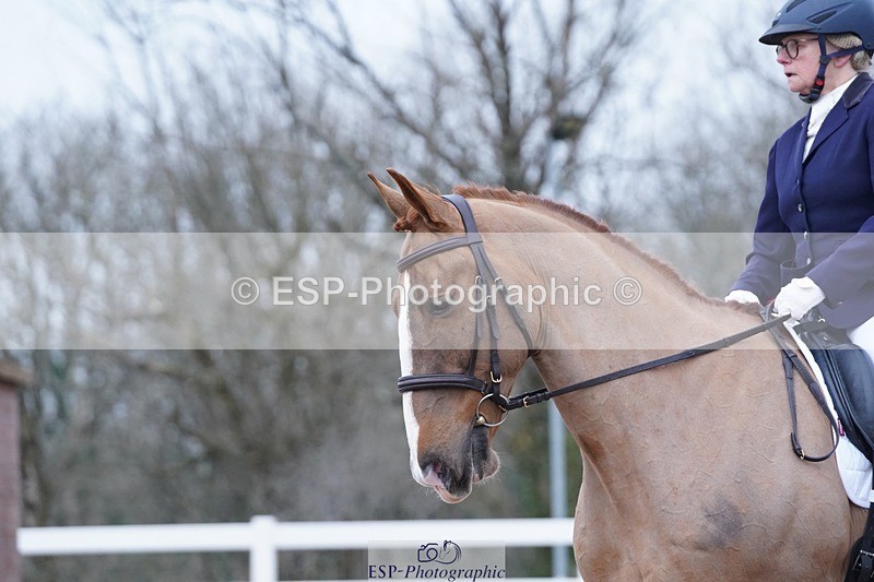 250214-102102-00114 - 224-Jill.McFarland-Adoon.Punchbowl