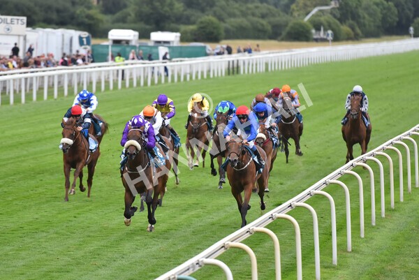 yr22072022r4-37 - Race 4 6.50pm The IRE Incentive It Pays To Buy Irish EBF Restricted Novice Stakes