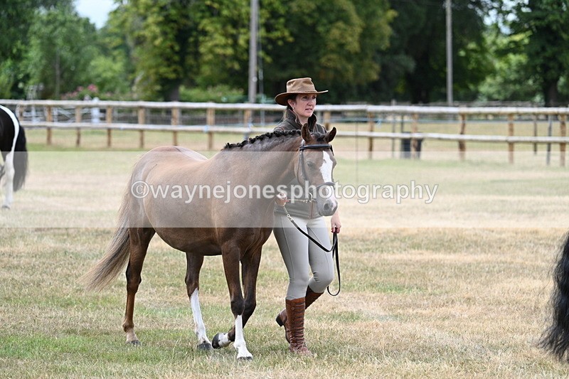 WJ7_1439 - Class 4 Prettiest Mare up to 14.2hh in hand