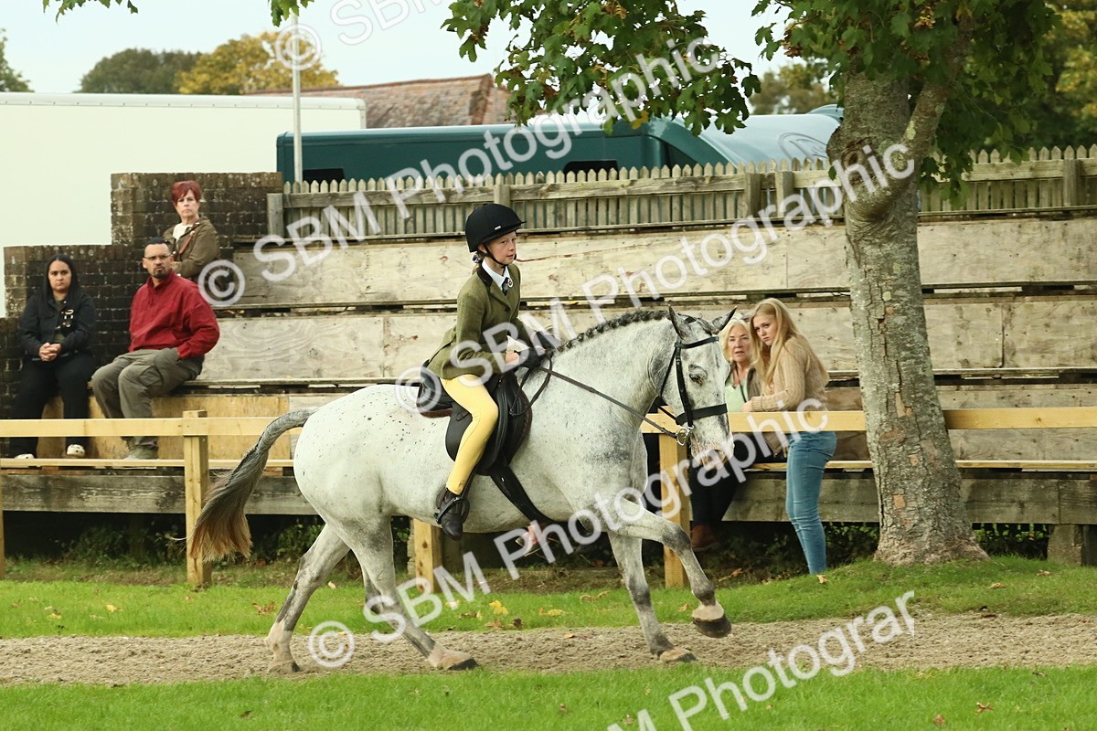 SBM_74069 - S 61 - Show Pony & Show Hunter Pony Ridden