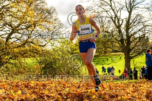 NatRel25-913482 - Young Female Set One