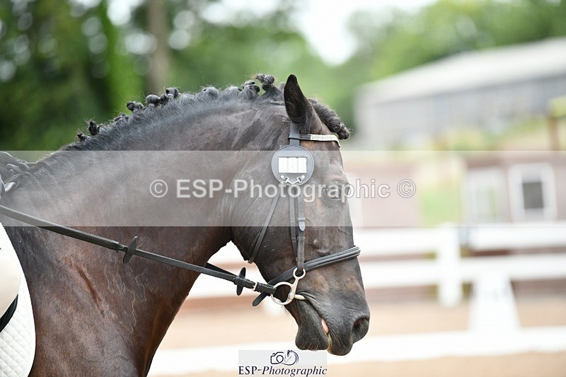 250705-094552-00065 - BRCP1 Sections BRCP1SNR, BRCP1JNR 09-30 to 10-40