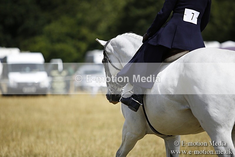 _C7A0295 - Side Saddle Classes BVRC Show 2018