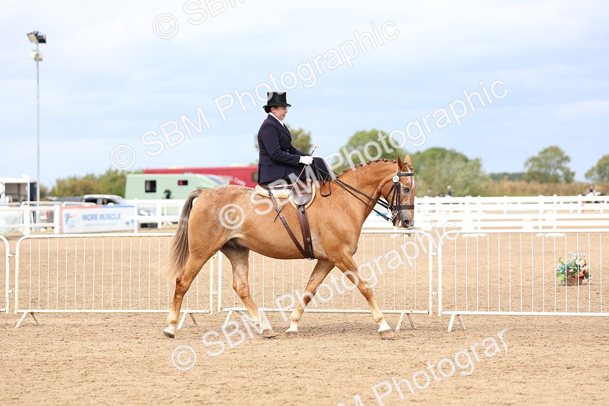 SBM_03395 - Class 24 - SSA Concours d'elegance (any age)