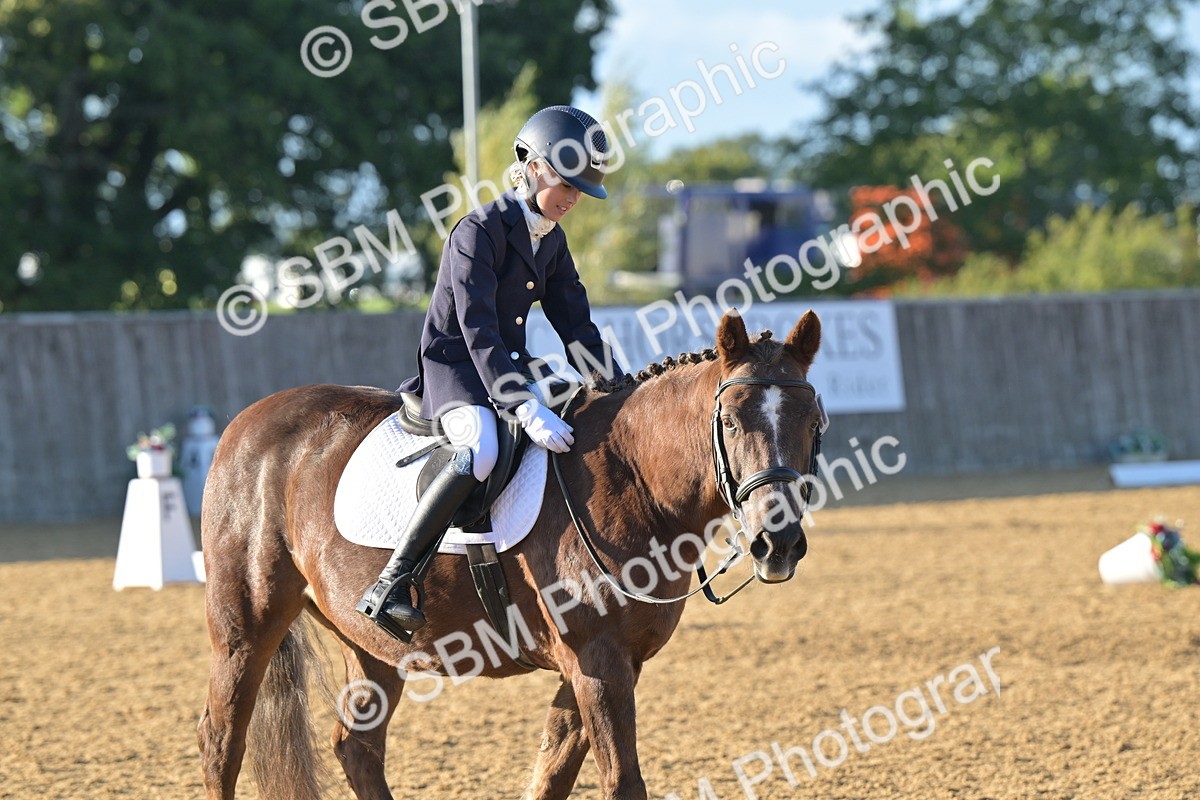 SBM_13109 - D3 - Small Tour Championship Intro 3