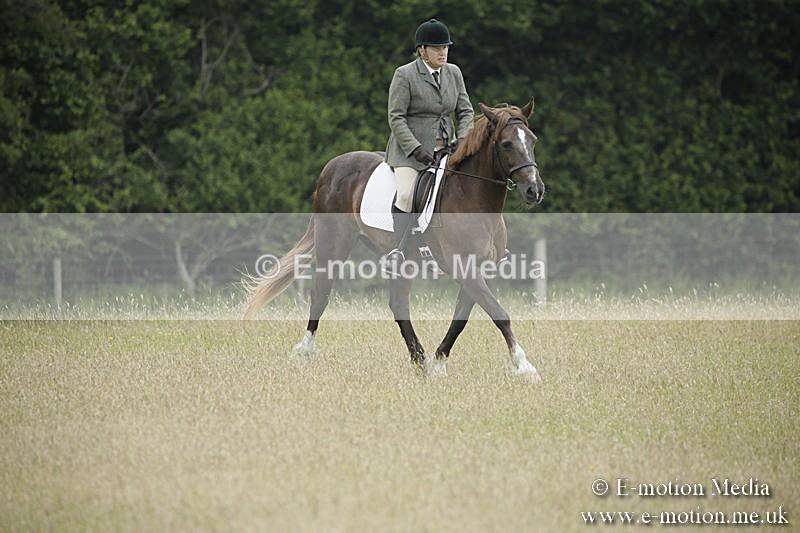 B230619-0017 - Bourne Valley Riding Club Summer Show 23/06/19
