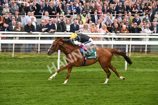 yr13052022r4-48 - Race 4 3.35pm The Paddy Power Yorkshire Cup (British Champions Series Race)