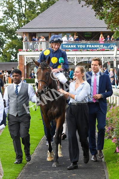 240823-Race 5-Sea Theme-0706 - Race 5 4.10pm British EBF & Sir Henry Cecil Galtres Stakes