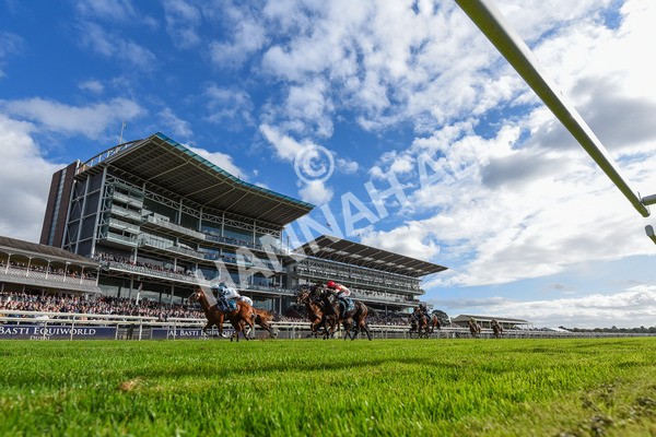 141023-Race 2-Whiskey Pete-3904 - Race 2 1.50pm Play Coral 'Racing-Super-Series' For Free Nursery Handicap