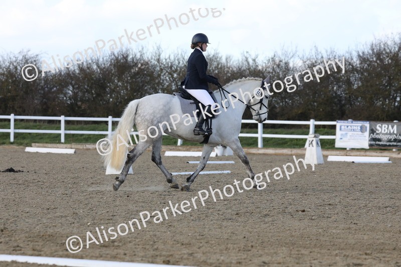 20260314-5083 - CT6 - Elementary 1