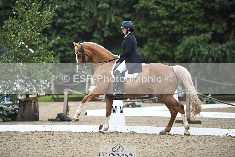 240720-145041-05837 - 187-Clare_Smith-Dori_Dragon_Fly