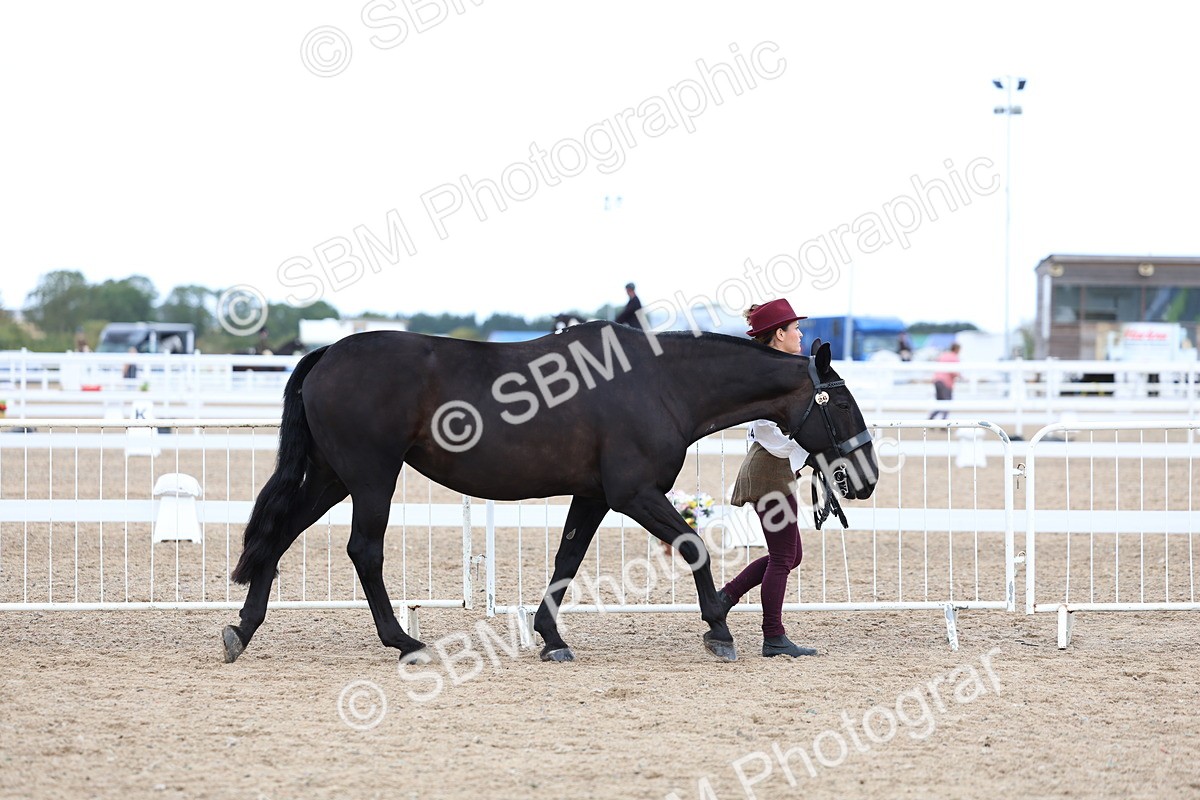 SBM_04997 - Class 27 - IH Competition Horse or Pony